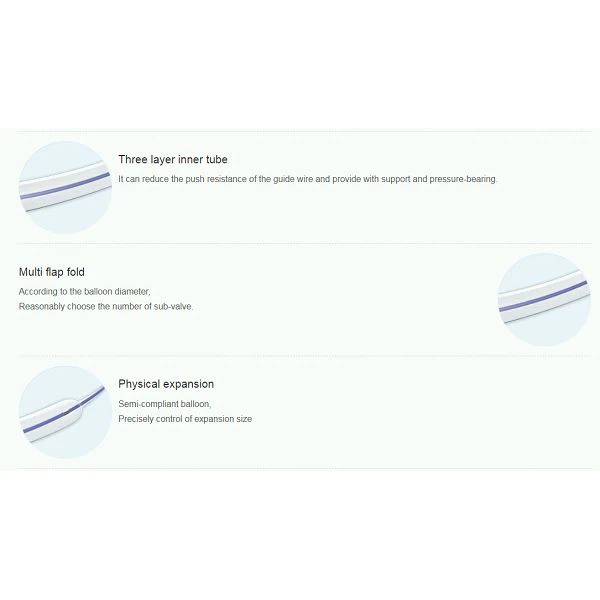 Peripheral Balloon Catheter (2)_副本(001)